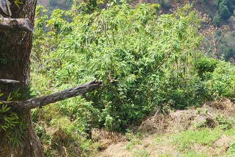 San Salvador & Boquerón: Private Tour with Pupusas & Slide