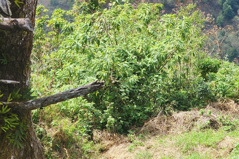 San Salvador & Boquerón: Private Tour with Pupusas & Slide