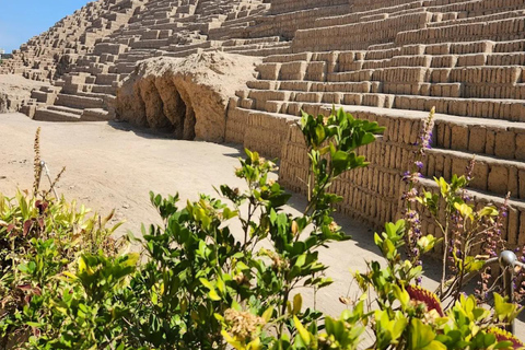 Lima: Half-day City Tour Government Palace, Catacombs, and Huaca Pucllana