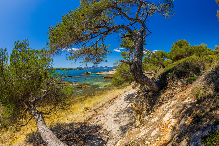 Fährentransfer zur Insel Sainte-Marguerite ab NizzaFährüberfahrt zur Insel Sainte Marguerite von Nizza