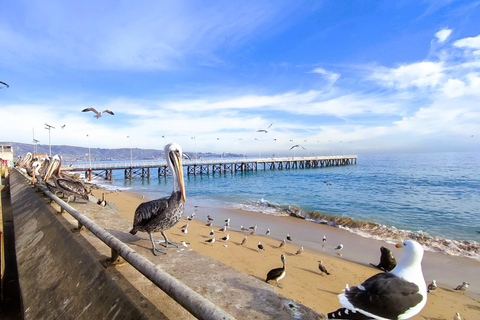 Santiago: Private Transfer To San Antonio via Valparaiso