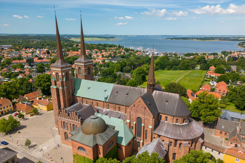 Roskilde Cathedral, Viking Museum and Forest tower tour