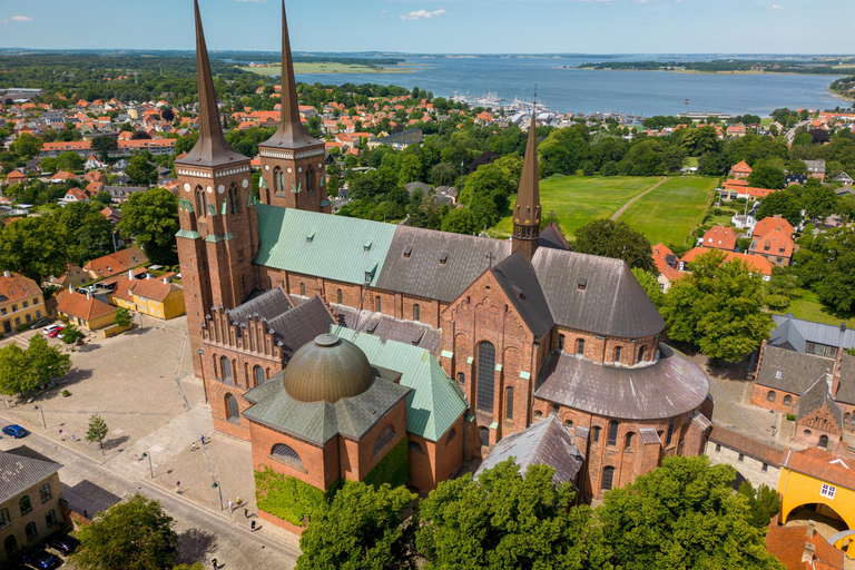 Roskilde Cathedral, Viking Museum and Forest tower tour