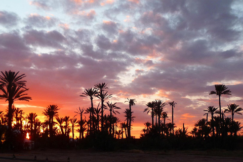 One way transfer from Fes to Marrakech in comfort