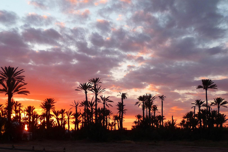 One way transfer from Fes to Marrakech in comfort