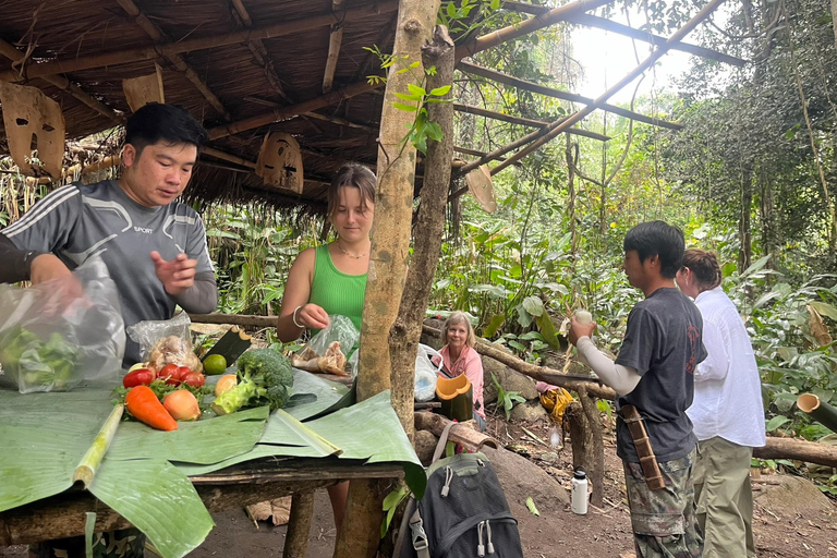 Chiang Rai: Jungle Adventure-Group Trekking & Bamboo Cooking