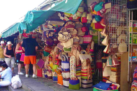 Mauritius: North Tour with Tea Tasting & Oceanarium Entry