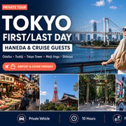 Tokyo: First/Last Day Tour for Haneda & Cruise Guests