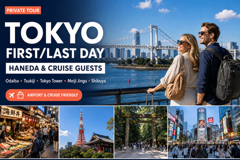 Tokyo: First/Last Day Tour for Haneda & Cruise Guests Tokyo → Haneda Airport