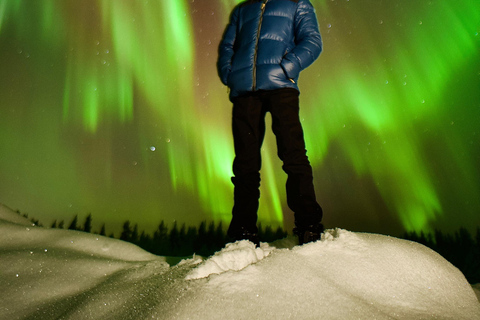 Rovaniemi: ✅ Northern Lights 100% Guarantee & Free Photos ✅ ✨ Small Group Northern Lights Hunting - Max 8 People ✨