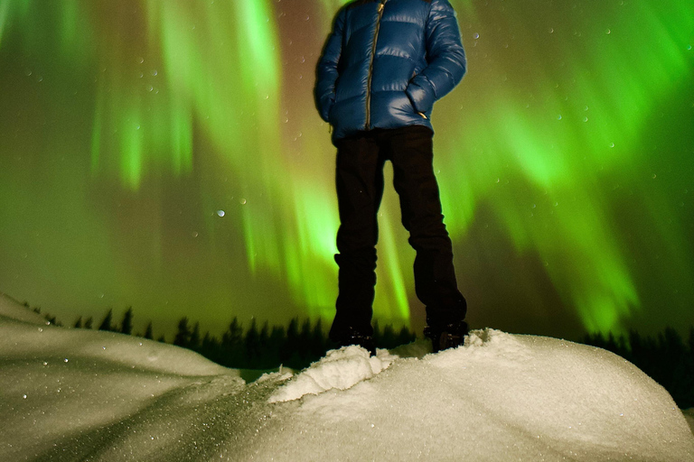 Rovaniemi: ✅ Northern Lights 100% Guarantee & Free Photos ✅ ✨ Small Group Northern Lights Hunting - Max 8 People ✨