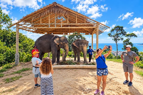 Phuket:(Save 20%) Family & Kids Elephant Learning Experience