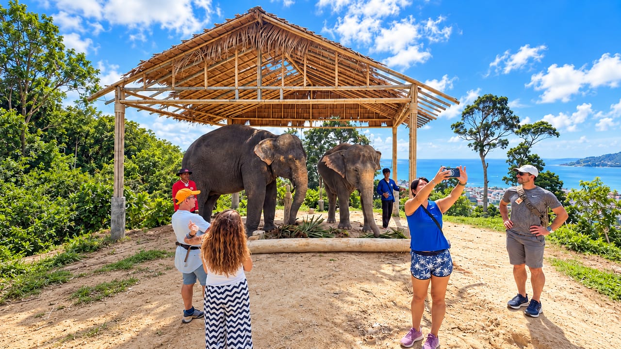 Phuket: (Spare 20 %) Lernerlebnis mit Elefanten für Familien & Kinder