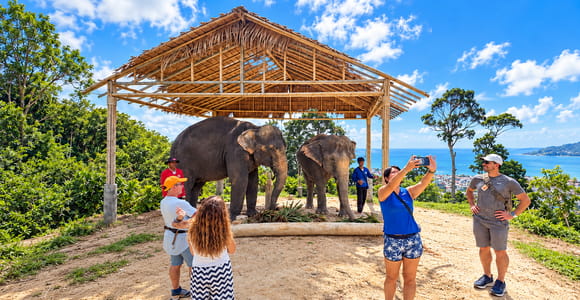 Phuket:(Save 20%) Family & Kids Elephant Learning Experience
