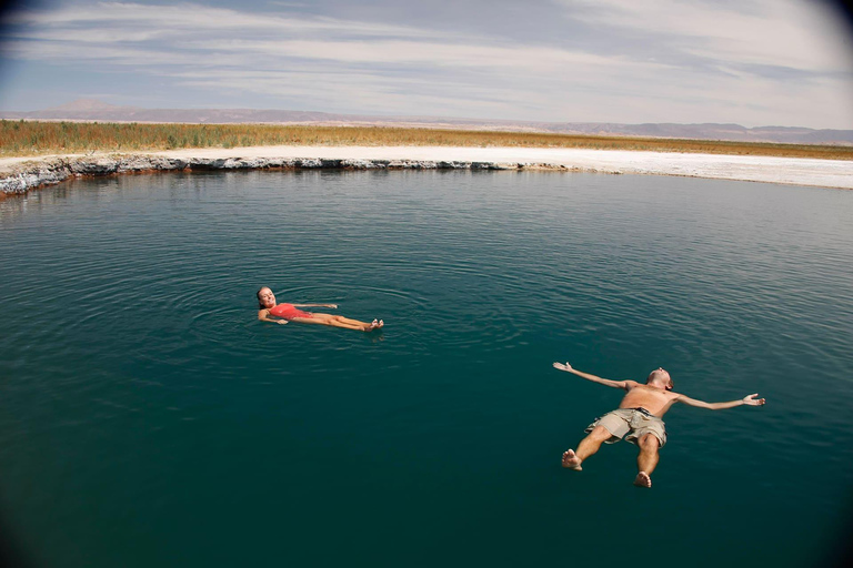 San Pedro de Atacama: Laguna Cejar Half-Day Guided Tour
