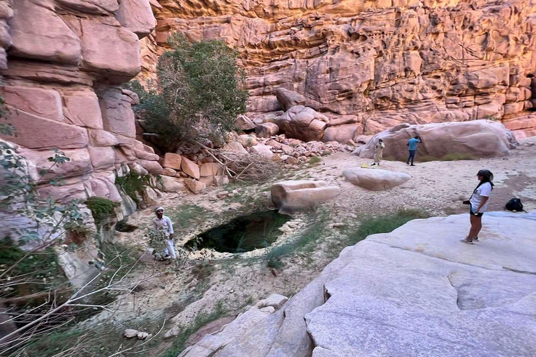 Hurghada Qattar Mountain Adventure: 4WD & Stargazing Hurghada: Gattar Mountain,Off-Road & lunch