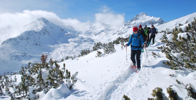 Visit Bansko Easy snowshoeing Pirin National Park & thermal spa in Bansko