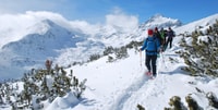 Bansko, Easy snowshoeing Pirin National Park & thermal spa - Hizvo
