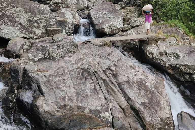 Kandy: Knuckles Mountain Range Guided Trekking Tour