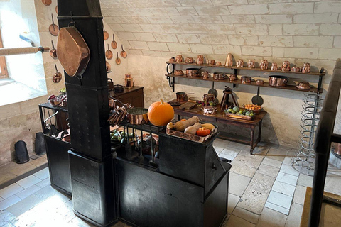 Loire Valley: Leonardo da Vinci & Renaissance Castles Tour Premium Minivan (2–6 PX)