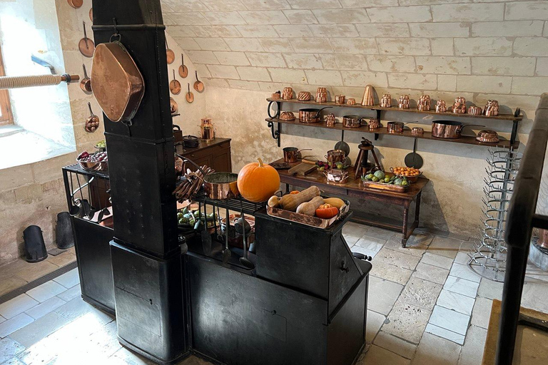 Loire Valley: Leonardo da Vinci & Renaissance Castles Tour Premium Minivan (2–6 PX)