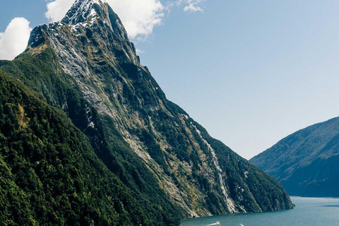 Från Wanaka: Milford Sound Flyg med landning och glaciärer