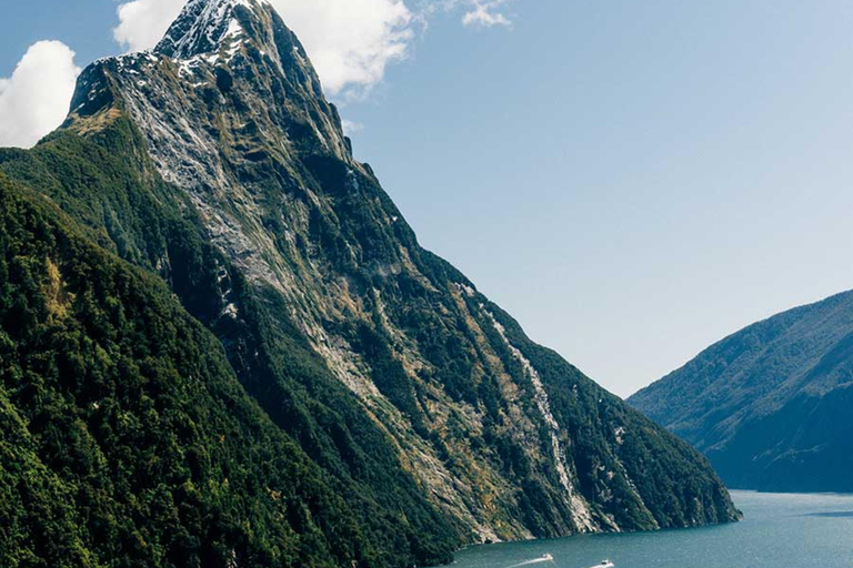 Från Wanaka: Milford Sound Flyg med landning och glaciärer