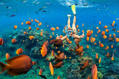 San Juan Beach, Cabo Huertas: Bike tour & snorkel with drink