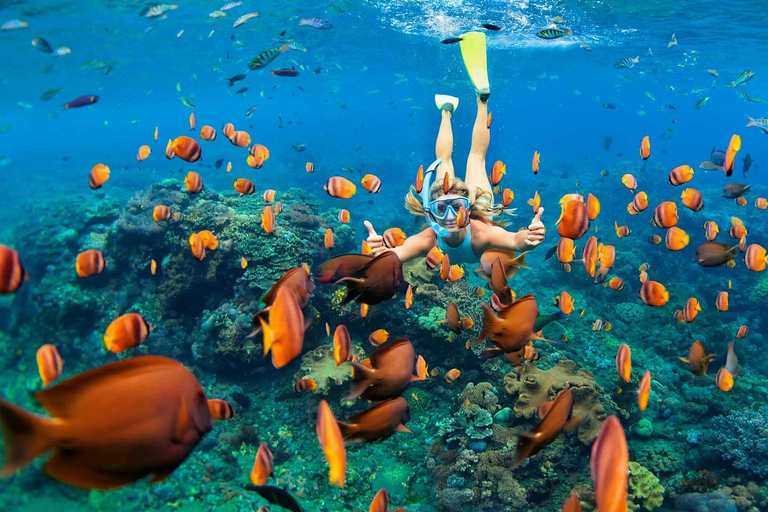 San Juan Beach, Cabo Huertas Alicante: Rental Bike & snorkel