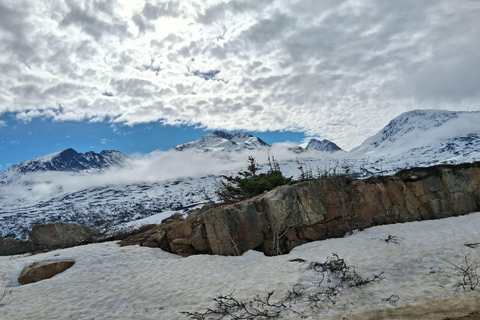 Skagway: Yukon Suspension Bridge & White Pass Scenic Tour