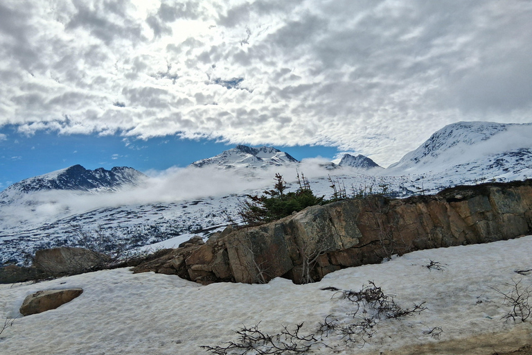 Skagway: Yukon Suspension Bridge & White Pass Scenic Tour