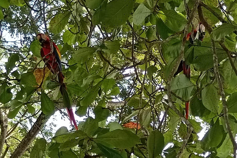 Playa Hermosa: Monkey, Sloth & Beach Adventure