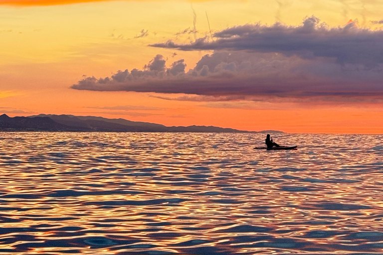 Barcelona: Excursión en Paddleboard al amanecer con fotos&amp;vídeos4k