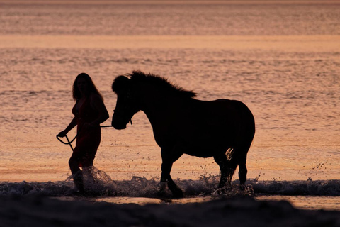 Essaouira: 1.5-Hour Horse Ride & Swim Experience with Photos