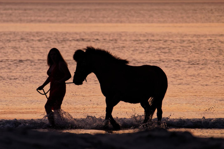 Essaouira: 1.5-Hour Horse Ride & Swim Experience with Photos