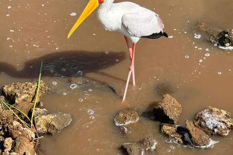 Nairobi: Giro in barca del Lago Naivasha e Parco Nazionale Hell&#039;s GateNairobi: escursione di un giorno alla Porta dell&#039;Inferno e al lago Naivasha