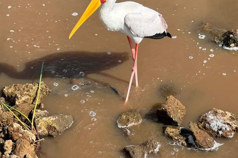 Nairobi: Giro in barca del Lago Naivasha e Parco Nazionale Hell&#039;s GateNairobi: escursione di un giorno alla Porta dell&#039;Inferno e al lago Naivasha