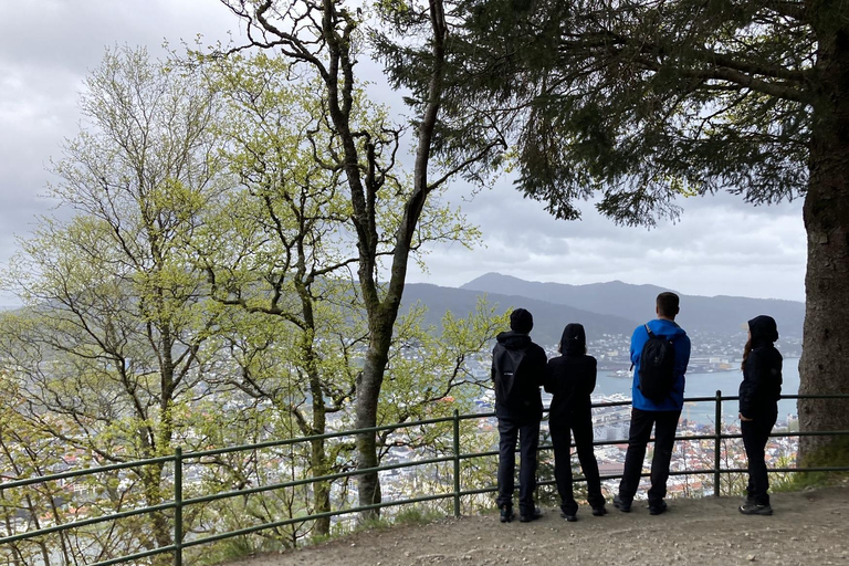 Bergen: Scenic Mountain Hike with Local Guide, Coffee&Snacks Bergen: Scenic Mountain Hike with LocalGuide, Coffee&Snacks