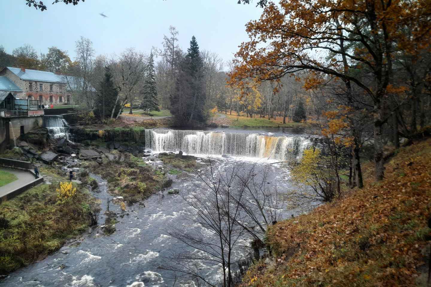 Tallinn: Pakri landscape conservation park and coast 5h