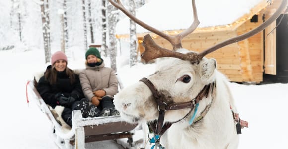 Rovaniemi: Daytime Reindeer Sleigh Ride
