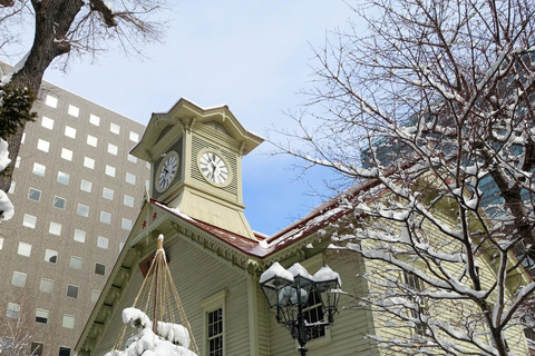 Sapporo: Private Full Day City and Cultural Tour with Guide