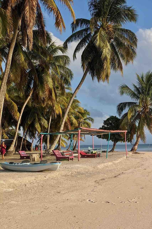 Galería de fotos para redes