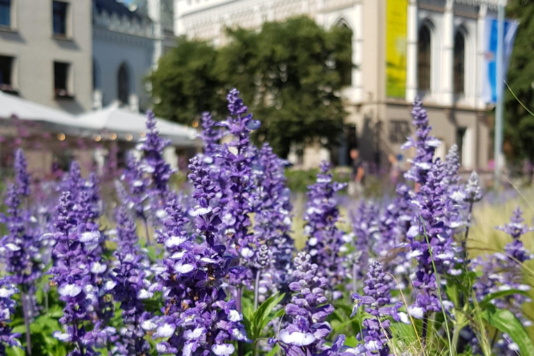 Old Riga walking tour - very private