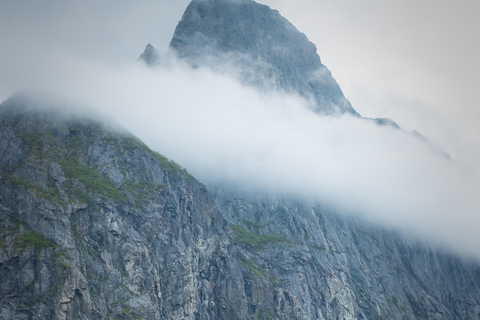 Senja: Fjord Kayaking in Ånderdalen National Park