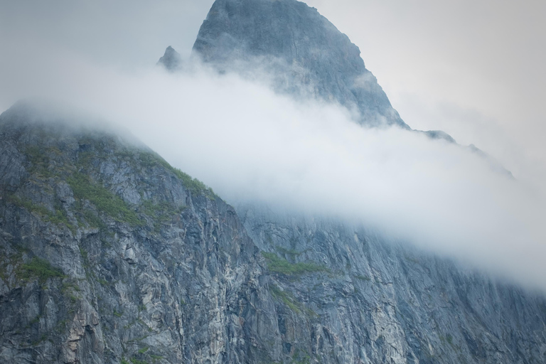 Senja: Fjord Kayaking in Ånderdalen National Park