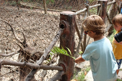 Monkey Island + Can Gio Mangrove Forest - Shared Tour Mangrove Forest