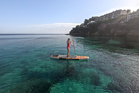 Mallorca: Barco Náutico Privado. Efoil ALMUERZO Bebidas SUP