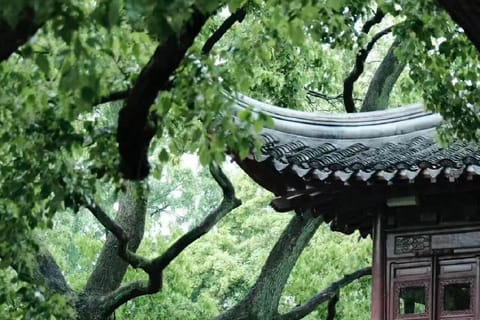 Shanghai: Yu Garden Admission Ticket & Classical Highlights