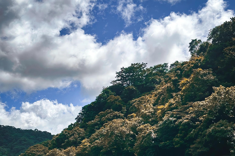 From Taipei: Private Sandiaoling & Makang Day Trip