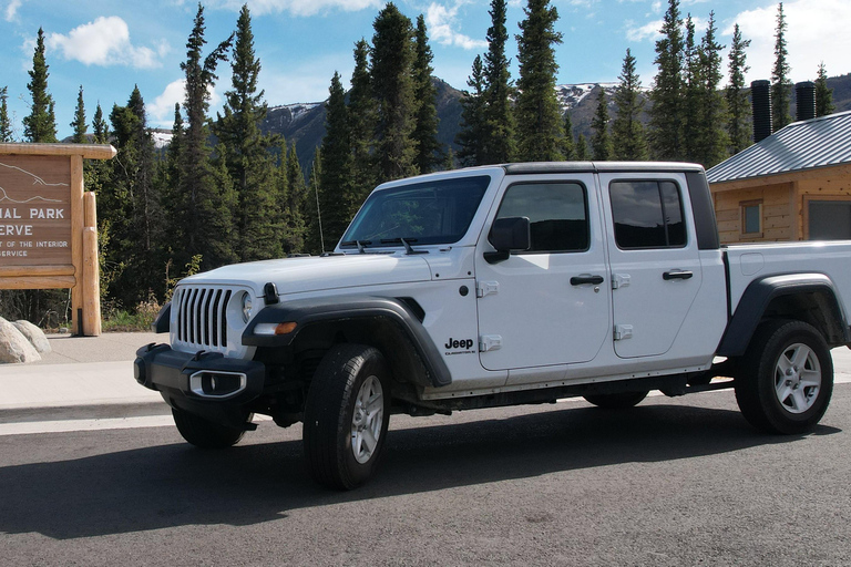 Denali Self-Drive Jeep Rental 4 Hour Rental